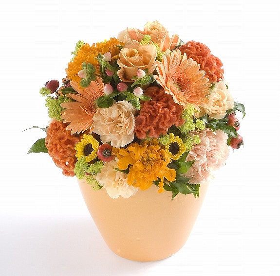 パワーカラーの黄色・オレンジの花々で、元気さや陽気さを保つアロマフラワーです。